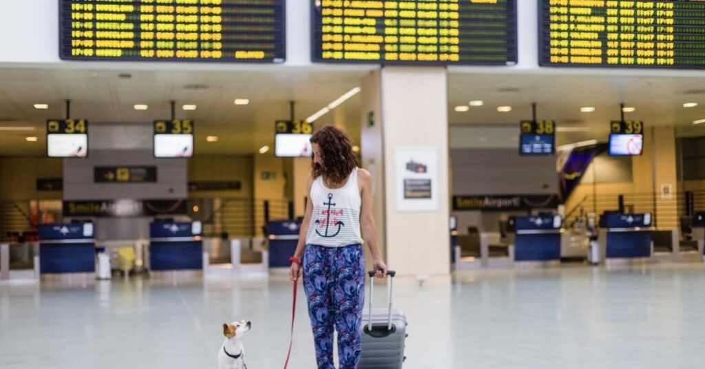 Travelling With Pets Airplane